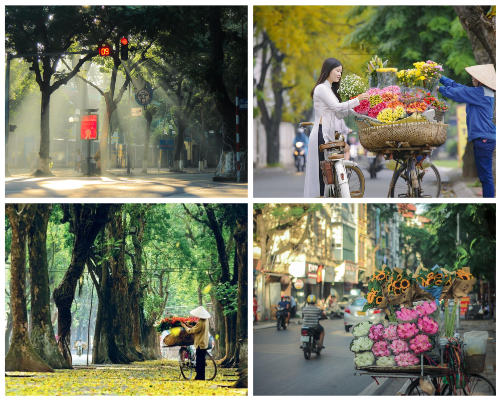 Du Hành Việt