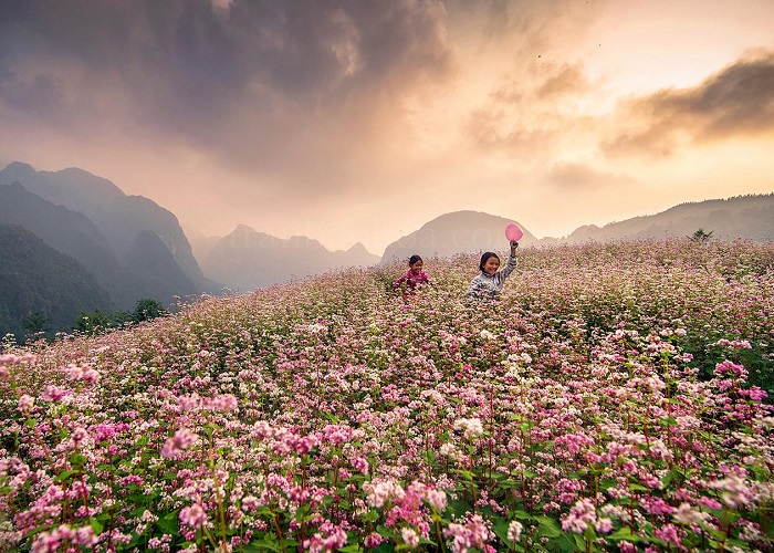 Du Hành Việt