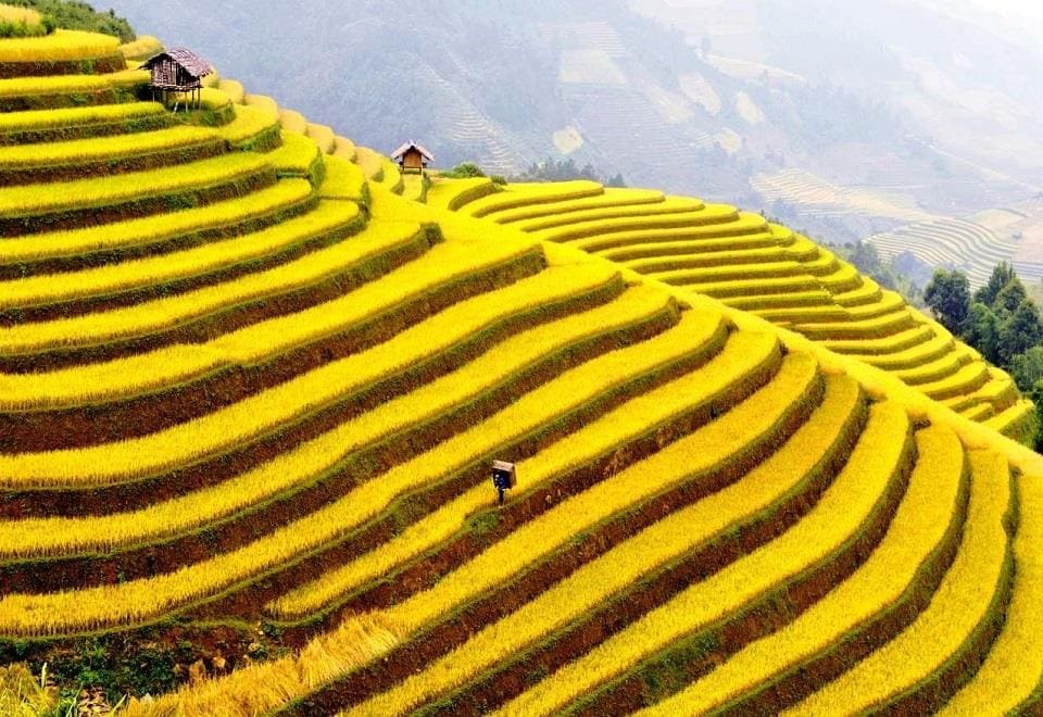 Du Hành Việt